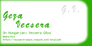 geza vecsera business card